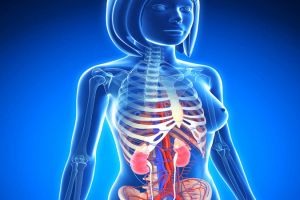 Hipnosis en el cuerpo humano – Autoscopia